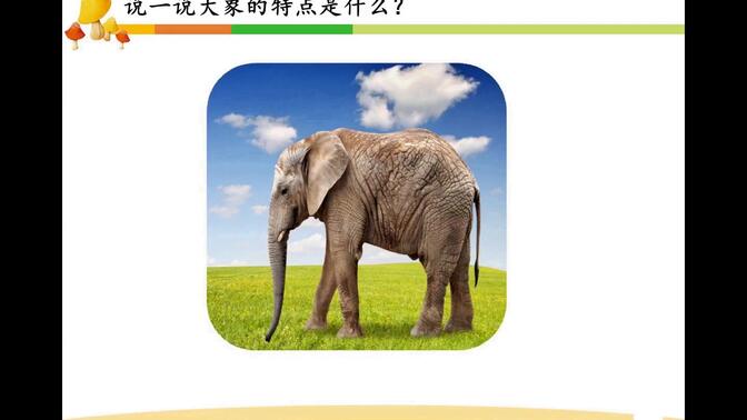 5.14语文二年级下册第七单元 第19课《大象的耳朵》（第一课时）刘杰