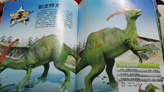 离谱的恐龙书