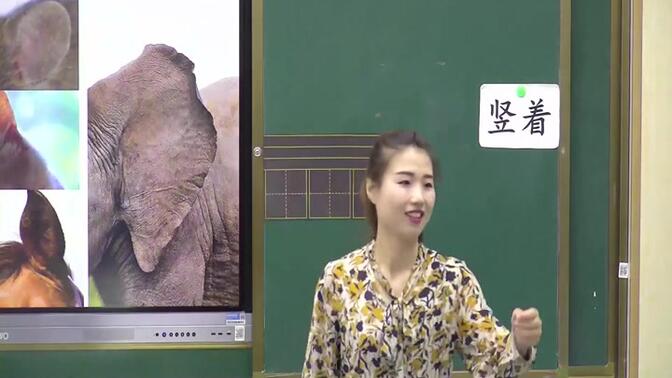 部编版二年级语文下册19-大象的耳朵曾老师《大象的耳朵》-省级 优质课公开课教学视频