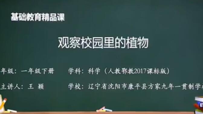 基础教育精品课——小学科学苏教版一年级下册《观察校园里的植物》