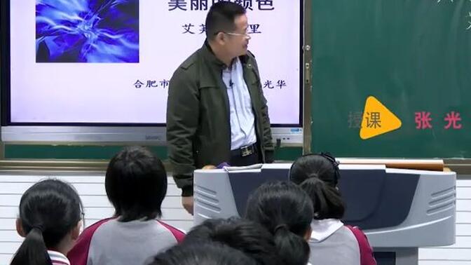 八上：《美丽的颜色》（含课件教案） 名师优质公开课 教学实录 初中语文 部编版 人教版语文 八年级上册 8年级上册（执教：张光华）