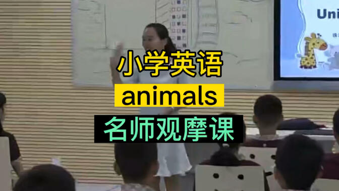 小学英语名师观摩课animals