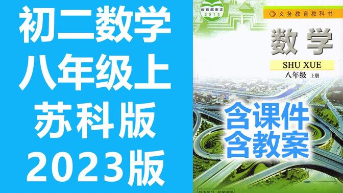 初二数学 苏科版 苏教版 八年级上册 数学 初中数学 8年级上册 江苏版 习题讲解 习题课 课课练 苏教版 含课件教案